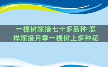 一棵树嫁接七十多品种 怎样嫁接月季一棵树上多种花